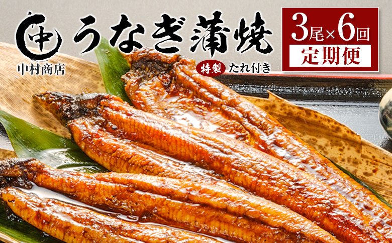 ＜定期便＞3尾×全6回 国産 うなぎ 蒲焼 有頭 計3.2kg以上（1回あたり 計543g以上） たれ付き 宮崎県産 鰻 中村商店