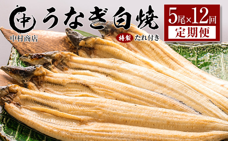 ＜定期便＞5尾×全12回 国産 うなぎ 白焼 有頭 計10.8kg以上（1回あたり 計905g以上） たれ付き 宮崎県産 鰻 中村商店