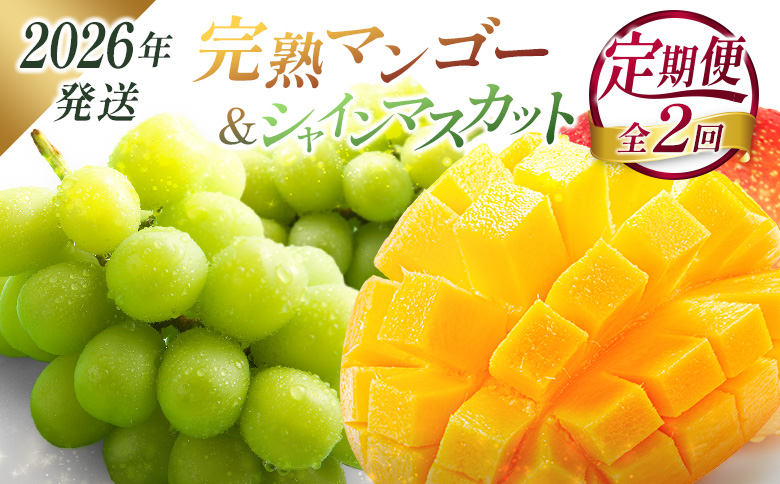 ＜2026年発送＞ フルーツ 定期便 完熟マンゴー シャインマスカット ぶどう 先行予約 初夏 秋 旬 果物 全2回
