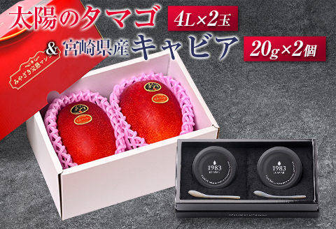 太陽のタマゴ(4L×2玉)と宮崎県産キャビア20g×2個セット