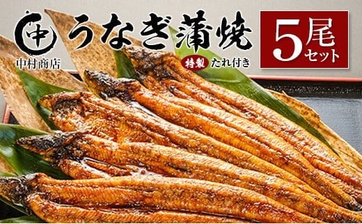 ◆中村商店 うなぎ蒲焼5尾セット 計905g以上 うなぎ蒲焼 5尾