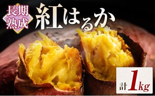 長期熟成 紅はるか 計1kg 宮崎県都城市産 さつまいも サツマイモ 計1kg
