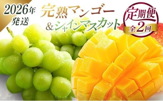 ＜2026年発送＞ フルーツ 定期便 完熟マンゴー シャインマスカット ぶどう 先行予約 初夏 秋 旬 果物 全2回