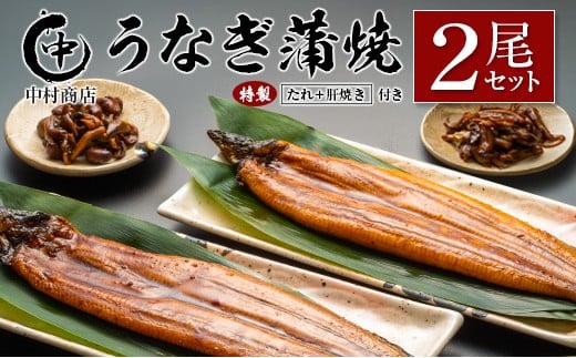 ◆中村商店 うなぎ蒲焼2尾セット 計362g以上 肝焼き付 うなぎ蒲焼 2尾