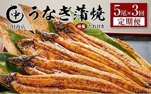 ＜定期便＞5尾×全3回 国産 うなぎ 蒲焼 有頭 計2.7kg以上（1回あたり 計905g以上） たれ付き 宮崎県産 鰻 中村商店