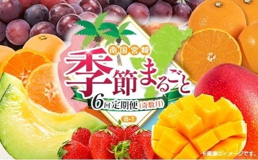 【奇数月 6回定期便】旬 人気 フルーツ 南国宮崎産 マンゴー ピオーネ いちご みかん メロン 柑橘 ぶどう 果物 詰め合わせ 宮崎県 九州＜B-1コース M210＞