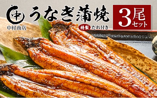 ◆中村商店 うなぎ蒲焼3尾セット 計543g以上 うなぎ蒲焼 3尾