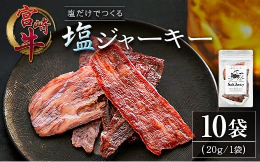塩だけでつくる 宮崎牛 塩ジャーキー 10袋（20g×10袋）ブランド牛 ビーフジャーキー おつまみ 珍味 グルメ 干し肉 宮崎県産