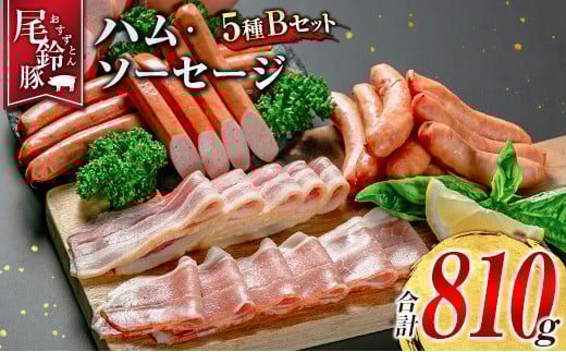 【PREMIUM PORK】 尾鈴豚 ハム ソーセージ 詰め合わせ 合計810g 5種 Bセット 宮崎県産
