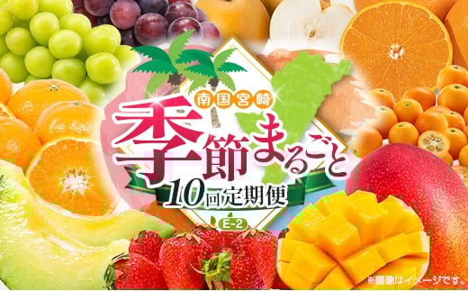 【10回定期便】旬 人気 フルーツ 南国宮崎産 マンゴー 金柑たまたま シャインマスカット ピオーネ いちご みかん 梨 メロン 柑橘 きんかん ぶどう 果物 詰め合わせ 宮崎県 九州＜E-2コース M600＞