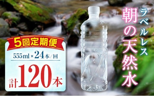 【定期便】 シリカ 朝の天然水 555ml 24本 5回 ラベルレス 中硬水 ミネラルウォーター シリカ水 ケイ素 常温保存 備蓄 防災 宮崎県 霧島連山 555ml×24本（1箱）×5回定期便