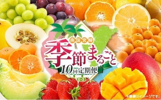 【10回定期便】旬 人気 フルーツ 南国宮崎産 マンゴー 金柑たまたま シャインマスカット ピオーネ いちご みかん 日向夏 メロン 柑橘 きんかん ぶどう 果物 詰め合わせ 宮崎県 九州＜E-3コース M700＞