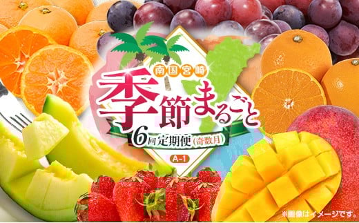 【奇数月 6回定期便】旬 人気 フルーツ 南国宮崎産 太陽のタマゴ ピオーネ いちご みかん メロン マンゴー 柑橘 ぶどう 果物 詰め合わせ 宮崎県 九州＜A-1コース M110＞