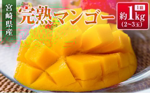 ◆宮崎県産 完熟マンゴー（合計約1kg）