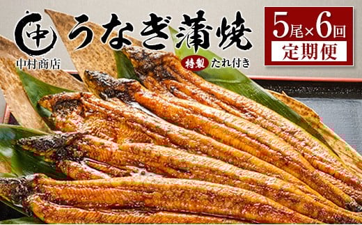 ＜定期便＞5尾×全6回 国産 うなぎ 蒲焼 有頭 計5.4kg以上（1回あたり 計905g以上） たれ付き 宮崎県産 鰻 中村商店