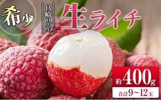 ◆希少！宮崎県産 生ライチ(合計約400g)