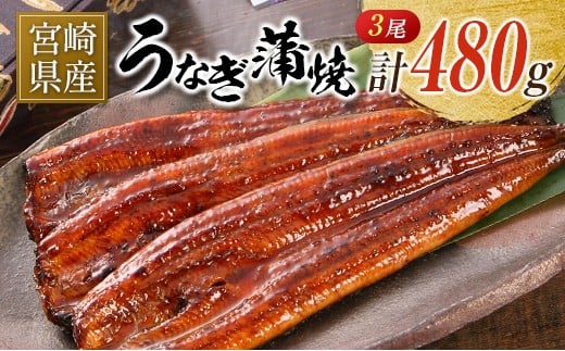 宮崎県産 うなぎ 蒲焼 3尾 計480g 個包装 長焼 国産 鰻