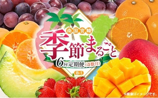 【奇数月 6回定期便】旬 人気 フルーツ 南国宮崎産 マンゴー ピオーネ いちご みかん メロン 柑橘 ぶどう 果物 詰め合わせ 宮崎県 九州＜B-1コース M210＞