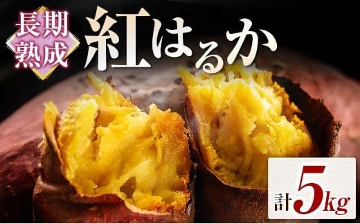 長期熟成 紅はるか 計5kg 宮崎県都城市産 さつまいも サツマイモ 計5kg