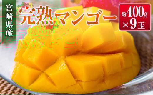 ◆宮崎県産 完熟マンゴー（9玉）
