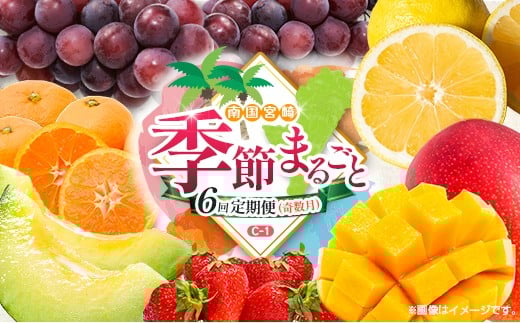 【奇数月 6回定期便】旬 人気 フルーツ 南国宮崎産 マンゴー ピオーネ いちご みかん メロン 日向夏 柑橘 ぶどう 果物 詰め合わせ 宮崎県 九州＜C-1コース M310＞