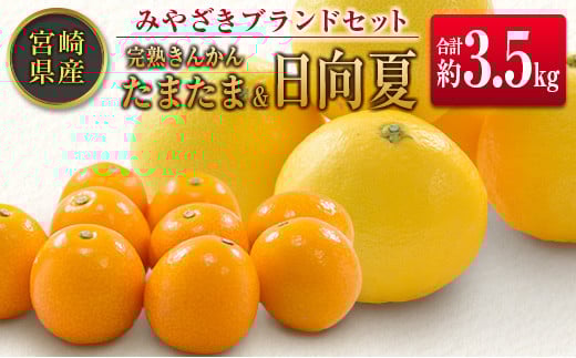 ◆みやざきブランドセット（完熟きんかん たまたま・日向夏）合計約3.5kg 宮崎県産