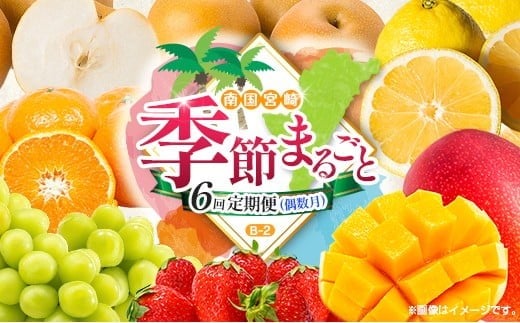 【偶数月 6回定期便】旬 人気 フルーツ 南国宮崎産 マンゴー シャインマスカット いちご 日向夏 梨 みかん 柑橘 ぶどう 果物 詰め合わせ 宮崎県 九州＜B-2コース M220＞