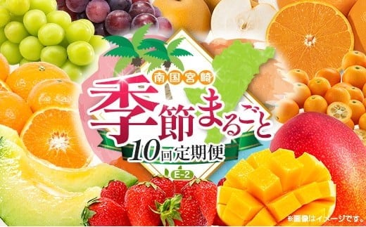 【10回定期便】旬 人気 フルーツ 南国宮崎産 マンゴー 金柑たまたま シャインマスカット ピオーネ いちご みかん 梨 メロン 柑橘 きんかん ぶどう 果物 詰め合わせ 宮崎県 九州＜E-2コース M600＞