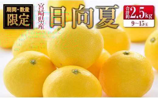 ◇宮崎県産ハウス日向夏 合計約2.5kg（9～15玉入）