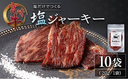 塩だけでつくる 宮崎牛 塩ジャーキー 10袋（20g×10袋）ブランド牛 ビーフジャーキー おつまみ 珍味 グルメ 干し肉 宮崎県産