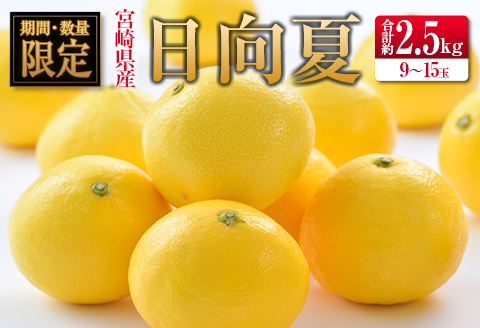 ◇宮崎県産ハウス日向夏 合計約2.5kg（9～15玉入）