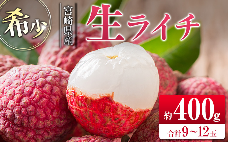 ◆希少！宮崎県産 生ライチ(合計約400g)