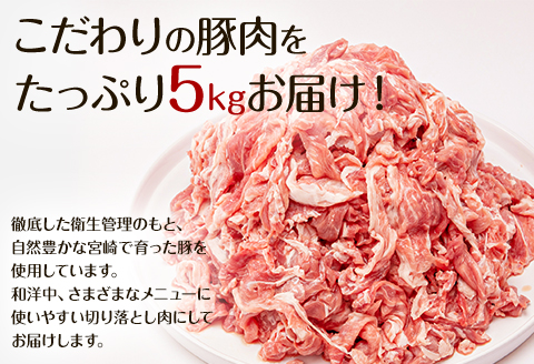 宮崎県産 豚肉 切り落とし 250g×20 合計5kg |豚肉 豚 ぶた 肉 国産 切り落とし 真空パック: 宮崎市ANAのふるさと納税
