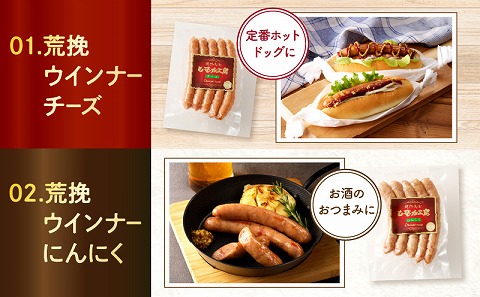 宮崎県産豚肉ウインナーセット（合計1.21kg 8種類）