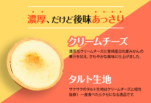 チータル 15個入