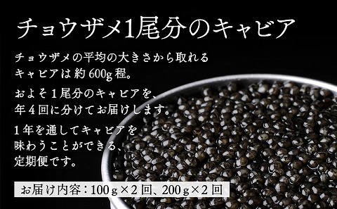 【定期便全4回】チョウザメ1尾分のキャビアを1年でお届け