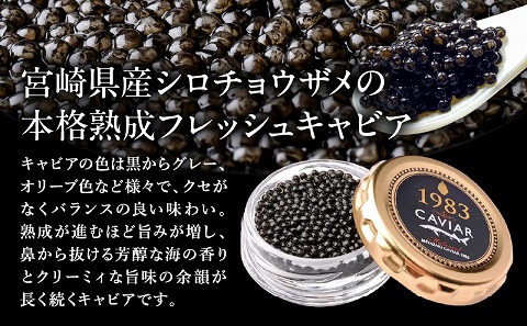 宮崎キャビア1983 プレミアム (60g)