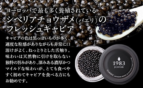 宮崎キャビア1983 バエリ (20g)