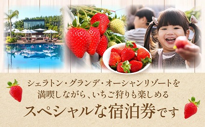 《2024年2月体験・宿泊分》いちご狩り体験付きシェラトン・グランデ・オーシャンリゾートペア宿泊券