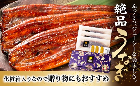 九州産うなぎ蒲焼3尾（計480g以上＆さんしょう、たれ付き） うなぎ 鰻 ウナギ 鰻蒲焼き うなぎ蒲焼き 国産 3尾 特大 宮崎 冷凍 うなぎのたれ ウナギの蒲焼用さんしょう 鰻楽 まんらく 冷凍 グルメ 惣菜 養殖 宮崎市