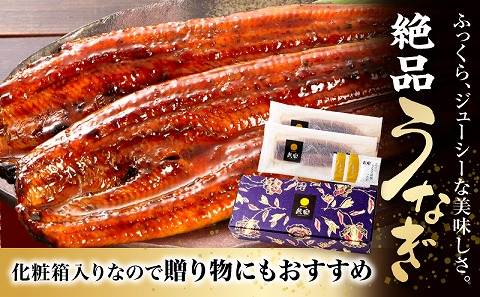 国産うなぎ蒲焼2尾(計320g以上) 鰻蒲焼 ウナギ蒲焼用たれ さんしょうのセット|うなぎ1尾160g以上の鰻2尾からなるウナギの詰め合わせ|うなぎ 蒲焼き うなぎ蒲焼 冬うなぎ 冬鰻 簡単調理 レンジ 湯煎 レトルト セット 国産 惣菜 魚介 水産物 贈答 贈り物 ギフト 化粧箱入り 小分け パック 冷凍 人気 おすすめ 鰻楽|