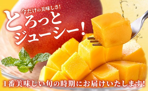 《2026年発送先行予約》【数量・期間限定】完熟マンゴーA3L(2玉入り) フルーツ 果物 宮崎県産