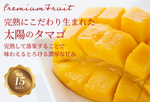 《2026年発送先行予約》【数量・期間限定】宮崎県産完熟マンゴー「太陽のタマゴ」A3L(2玉入り) 国産 マンゴー 太陽のタマゴ ギフト