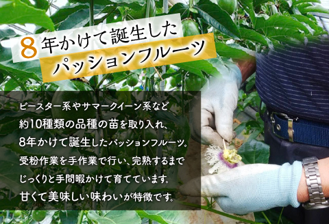 《2026年発送先行予約》【数量・期間限定】8年かけて誕生した宮崎県産極上パッションフルーツＬ 2kg 完熟 フルーツ 贈り物 