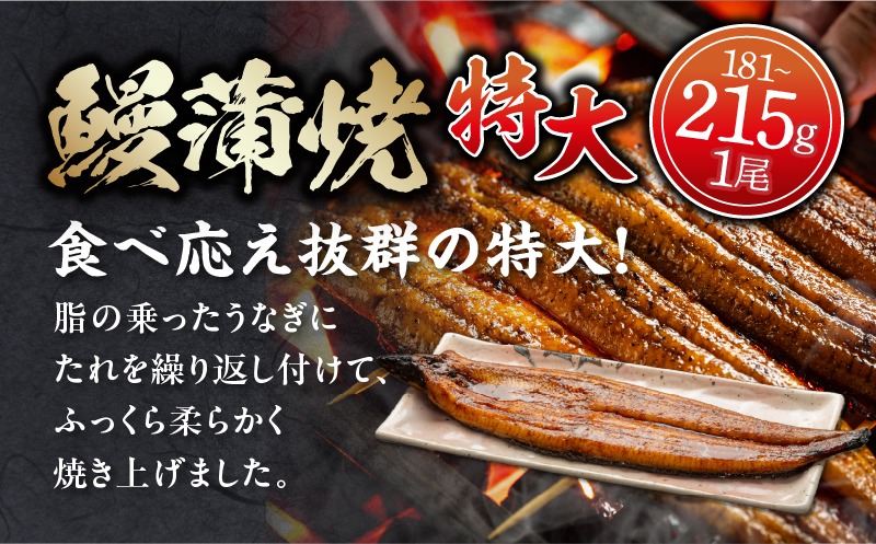 国産うなぎ蒲焼(特大サイズ)・肝焼きセット 国産鰻 ウナギ お土産