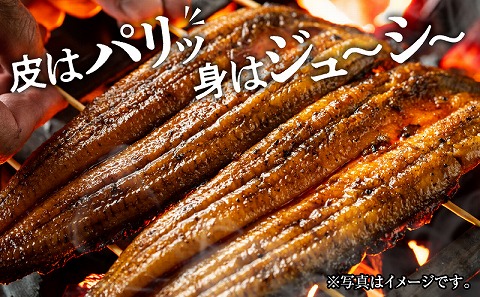 白焼大2尾・蒲焼大2尾セット