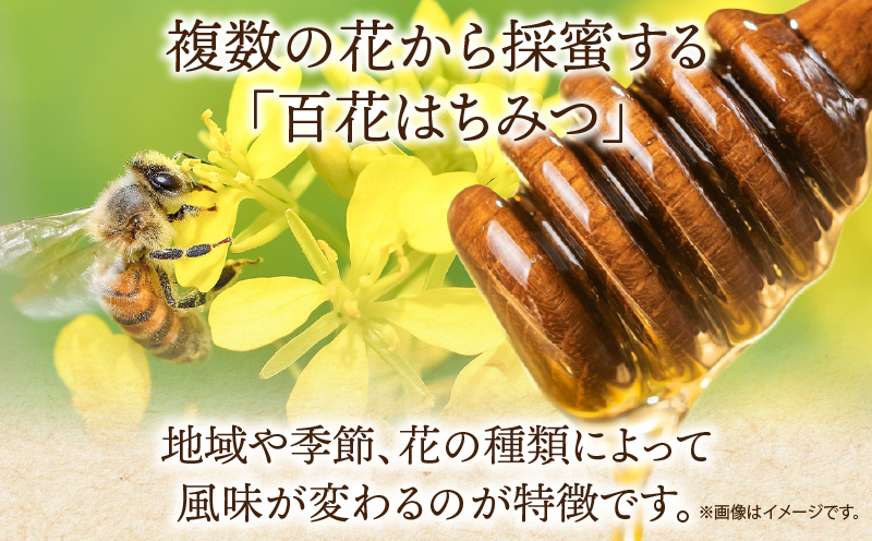 国産百花はちみつ500g×2本 料理 紅茶 ヨーグルト