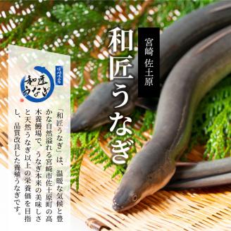 国産 備長炭手焼き 和匠うなぎの蒲焼カット 4パックセット 計400g