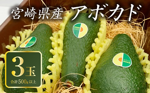 期間・数量限定 宮崎県産アボカド3玉(3玉合計500g以上)
