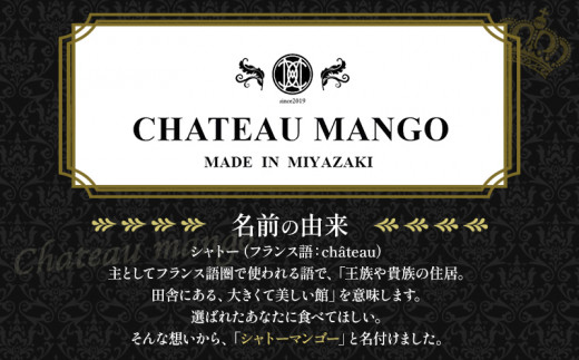 《2026年発送先行予約》【数量・期間限定】シャトーマンゴー(大) AAA 2玉 宮崎マンゴー シャトーマンゴー フルーツ 果物 果実 スイーツ 完熟